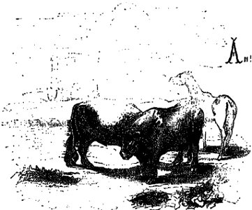 L’Ingénieux Hidalgo Don Quichotte de la Manche tome 1 illustration p. 693