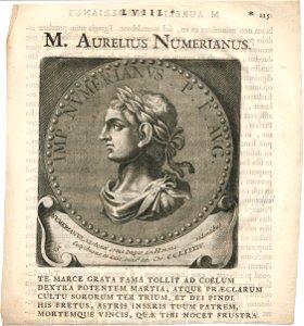 M. Aurelius Numerianus Erfgoedcentrum Rozet 300 191 d 6 C 29