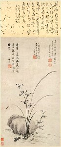 Ma Shouzhen - Orchid and Rock - 1982.1.7 - Metropolitan Museum of Art