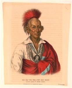 Ma-Ka-Tai-Me-She-Kia-Kiah, or Black Hawk, a Saukie brave - A.H. LCCN2013645340