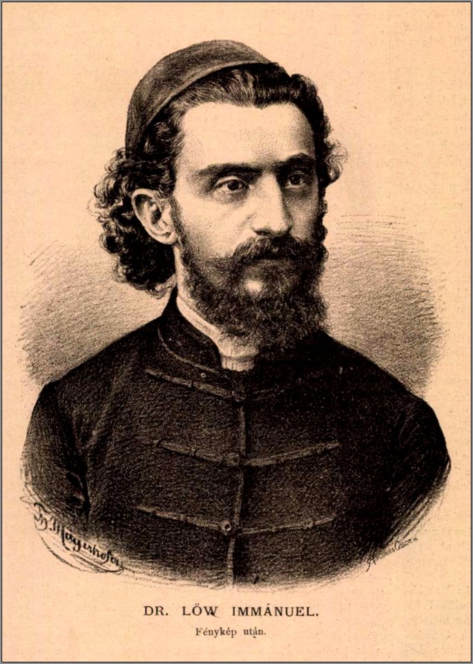 Lőv Immánuel az Ország-Világ 1881. évfolyamának 11. számában