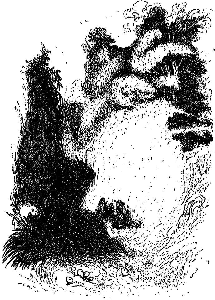 L’Ingénieux Hidalgo Don Quichotte de la Manche tome 1 illustration p. 688