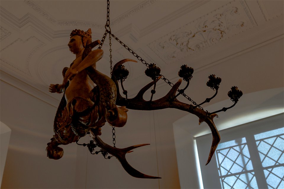 Lüsterweibchen in Jagdschloss Grunewald-4836