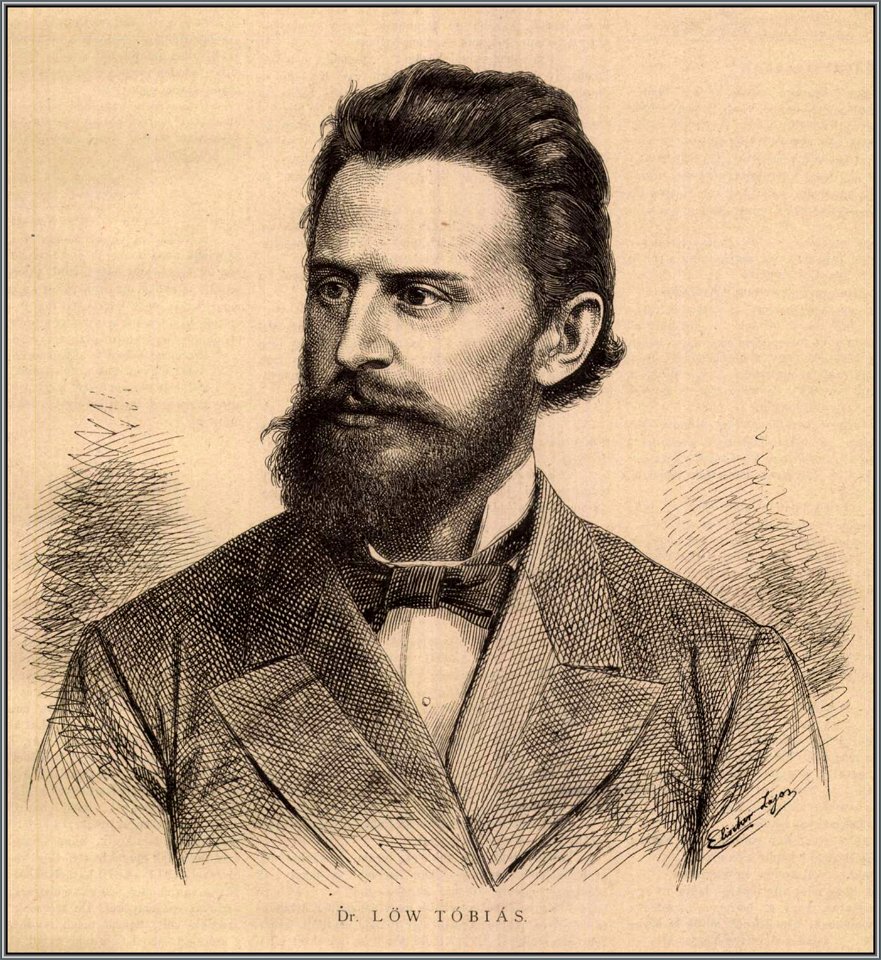Lőw Tóbiás. Ország-Világ, 1880