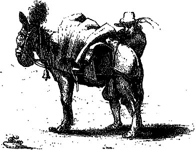 L’Ingénieux Hidalgo Don Quichotte de la Manche tome 1 illustration p. 714