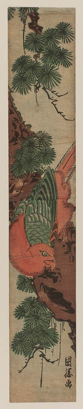 Macaw on Pine Branch, Utagawa Kuniteru I, MFAB RES.33.201