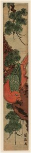 Macaw on Pine Branch, Utagawa Kuniteru I, MFAB RES.33.201