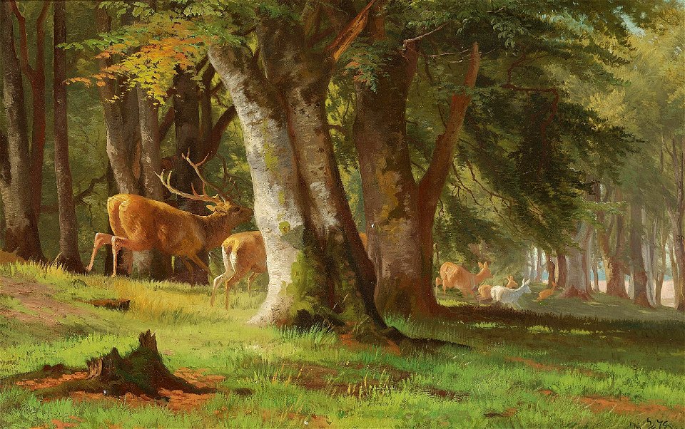 Adolf Mackeprang - En kronhjort med sin rudel i løb gennem skoven - 1878