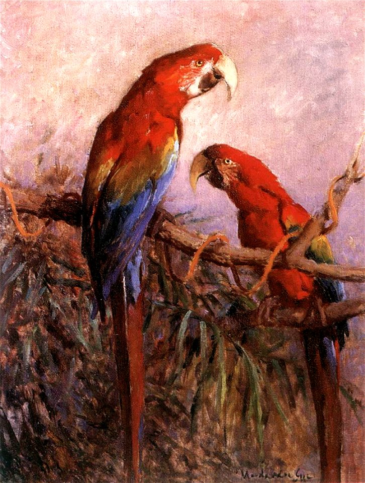 Madarász, Gyula - Parrots