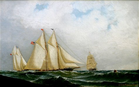 Madeleine Defeats Countess Of Dufferin (Americas Cup 1876), by Antonio Jacobsen 34011