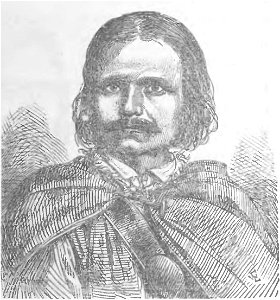 Maciej Sieczka, przewodnik