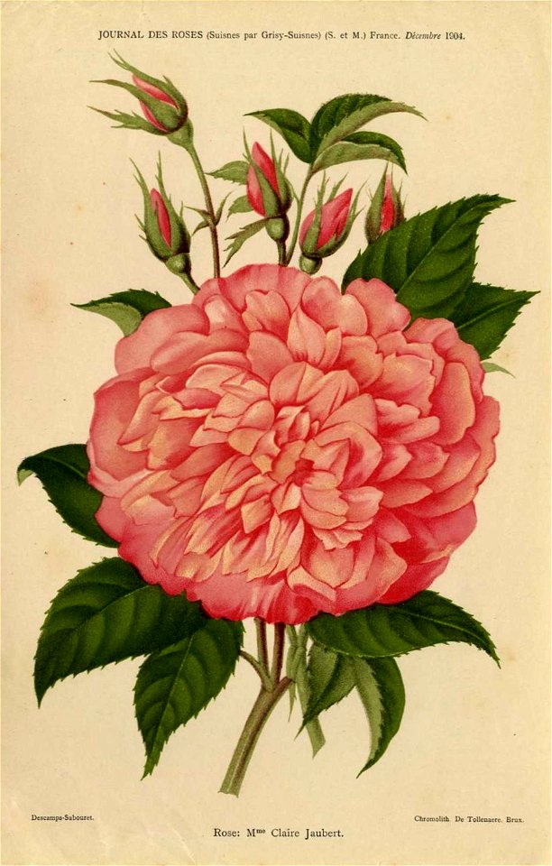 Madame Claire Jaubert