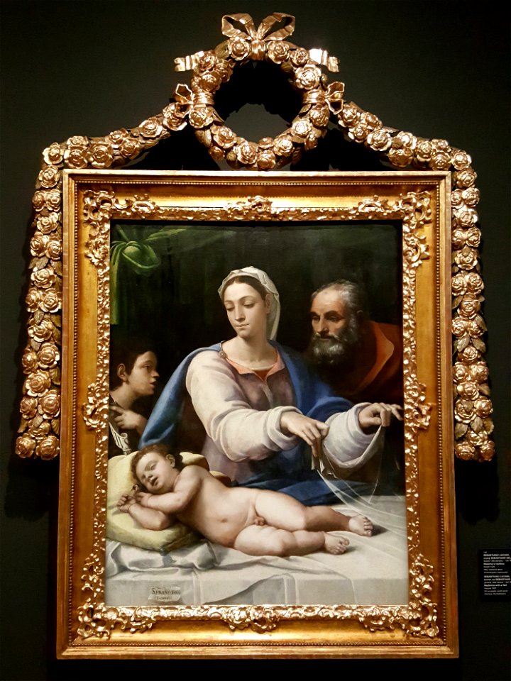 Madona s rouškou, Sebastiano del Piombo