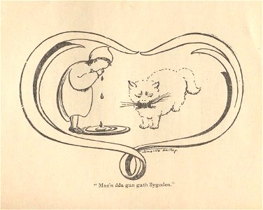 Mae'n dda gan gath llygoden
