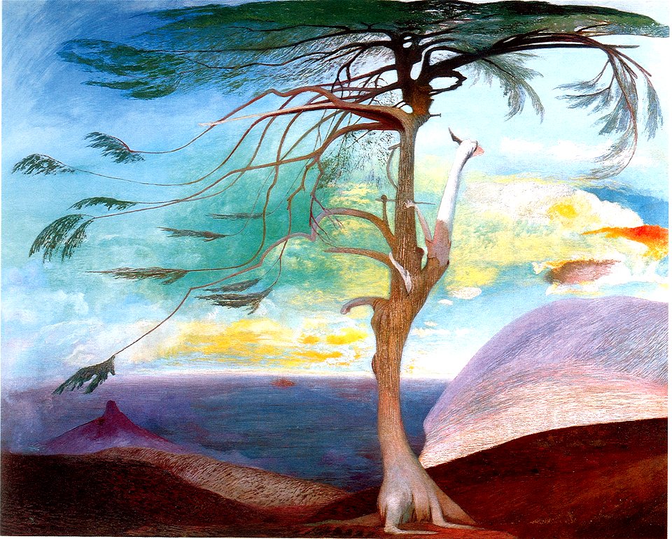 Maganyoscedrus