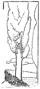 Magdeleine du Genestoux Le trésor de Mr. Toupie - 1924 (page 94 crop)