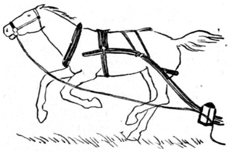 Magdeleine du Genestoux Le trésor de Mr. Toupie - 1924 (page 47 crop)