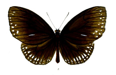 MahinthaSubdita 29 1