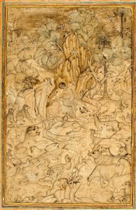 Majnun in the wilderness (6125074314)