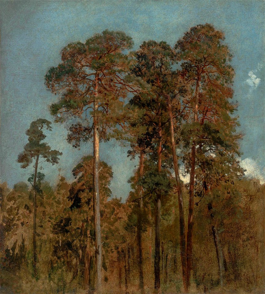 Maksymilian Gierymski - Sosny