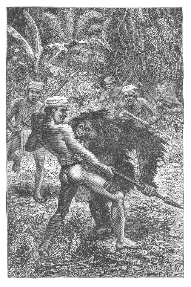Malay Archipelago Orang-Utan attacked by Dyaks