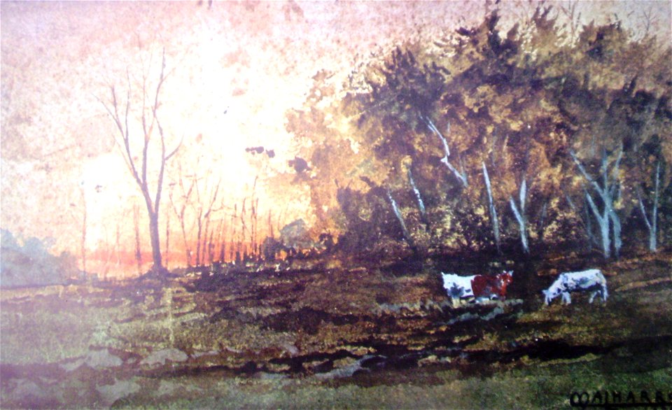 Malharro004