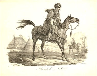 Mameluck en vedette (BM 1867,0309.915)
