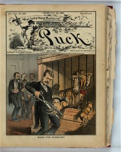 Make him harmless! - F. Graetz. LCCN2012645175