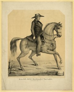Major, Genl. Zachary Taylor LCCN2003679823