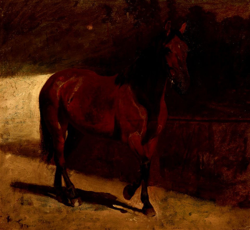 Maksymilian Gierymski - Study of a Chestnut Horse - MNK II-a-705 - National Museum Kraków