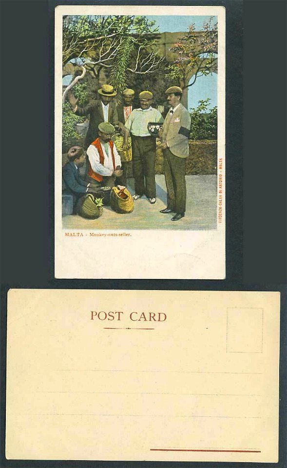 Malta-Old-Colour-UB-Postcard-Maltese-Monkey-Nuts-Seller (Vincenzo Galea)