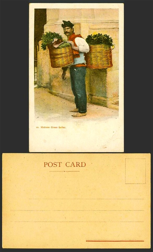 Malta-Old-Colour-UB-Postcard-10-Maltese-Grass-Seller