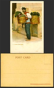 Malta-Old-Colour-UB-Postcard-10-Maltese-Grass-Seller