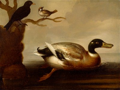 Mallard Duck and Other Birds - Google Art Project