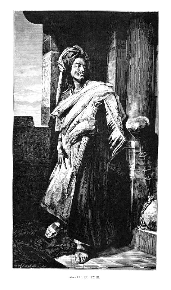 Mameluke Emir (1878) - TIMEA