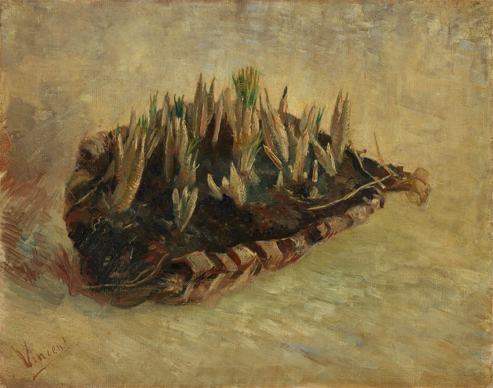 Mand met krokusbollen - s0179V1962 - Van Gogh Museum