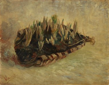 Mand met krokusbollen - s0179V1962 - Van Gogh Museum