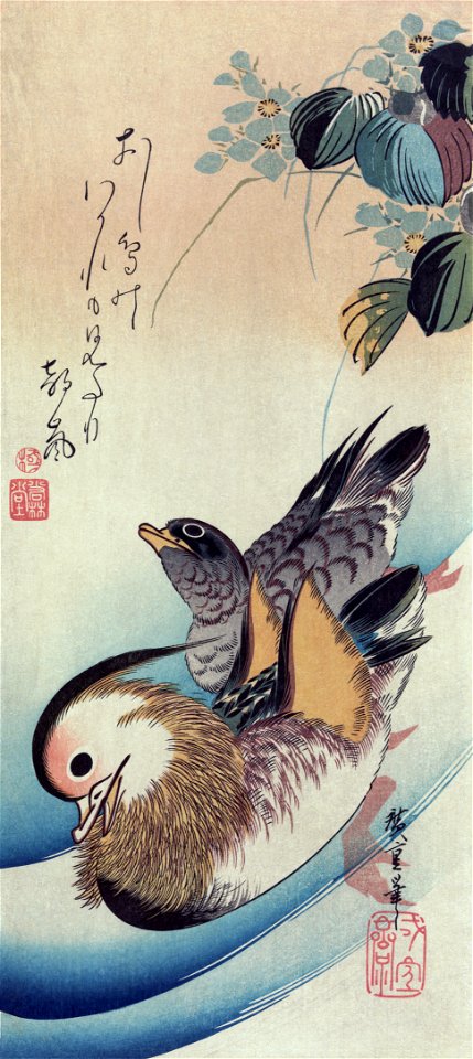Mandarin duck woodcut3