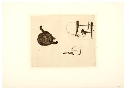 Manet - The Cats, 1948.43
