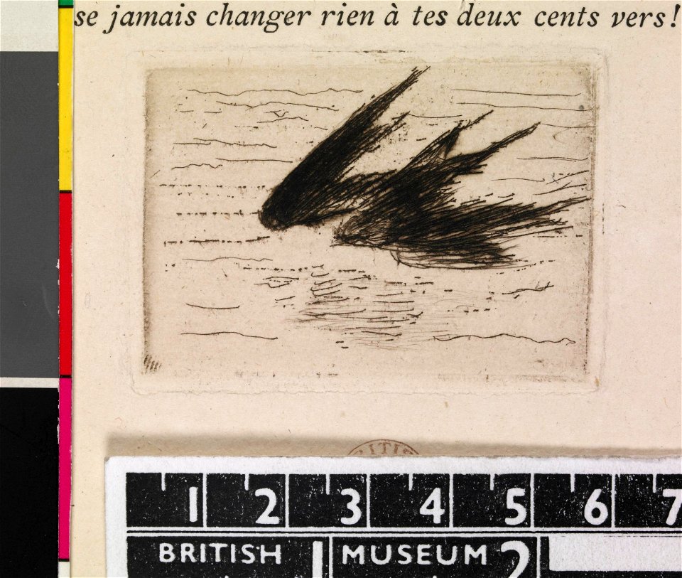 Manet - Hirondelles, 1949,0411.5127.8