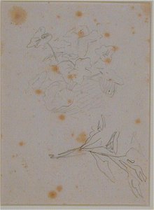 Manet - Two studies of a geranium plant, c. 1880 - 1883