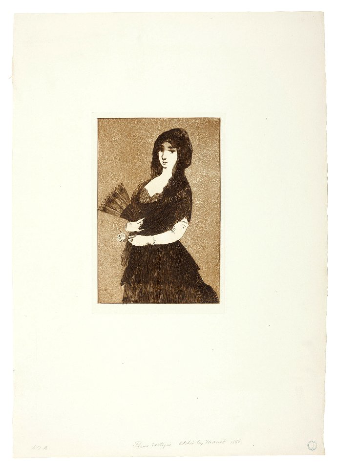 Manet - Exotic Flower (Woman in a Mantilla), 1927.4208