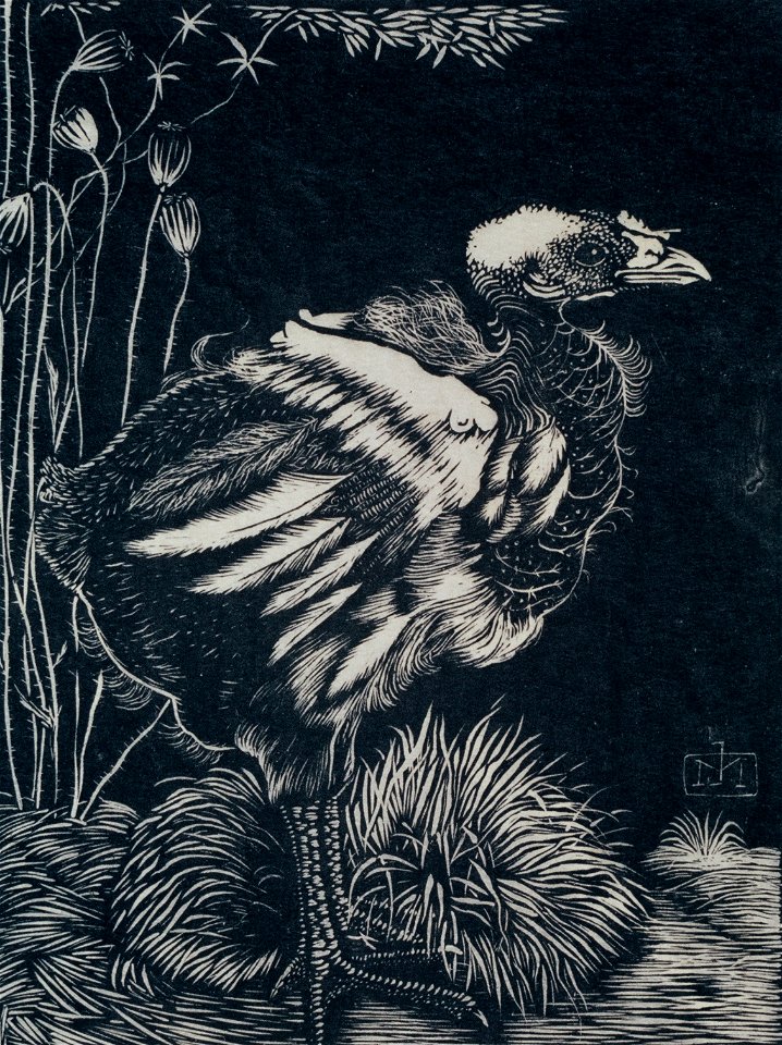 Mankes Nestkuiken