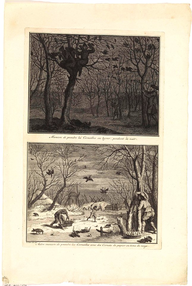 Manieren om kraaien te vangen in de winter
