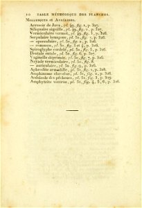 Manuel de l'histoire naturelle des mollusques Table Methodique 6