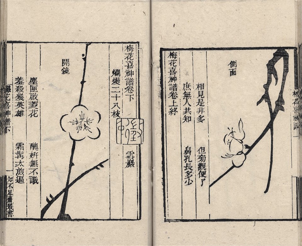 Manual of Plum Blossom Painting