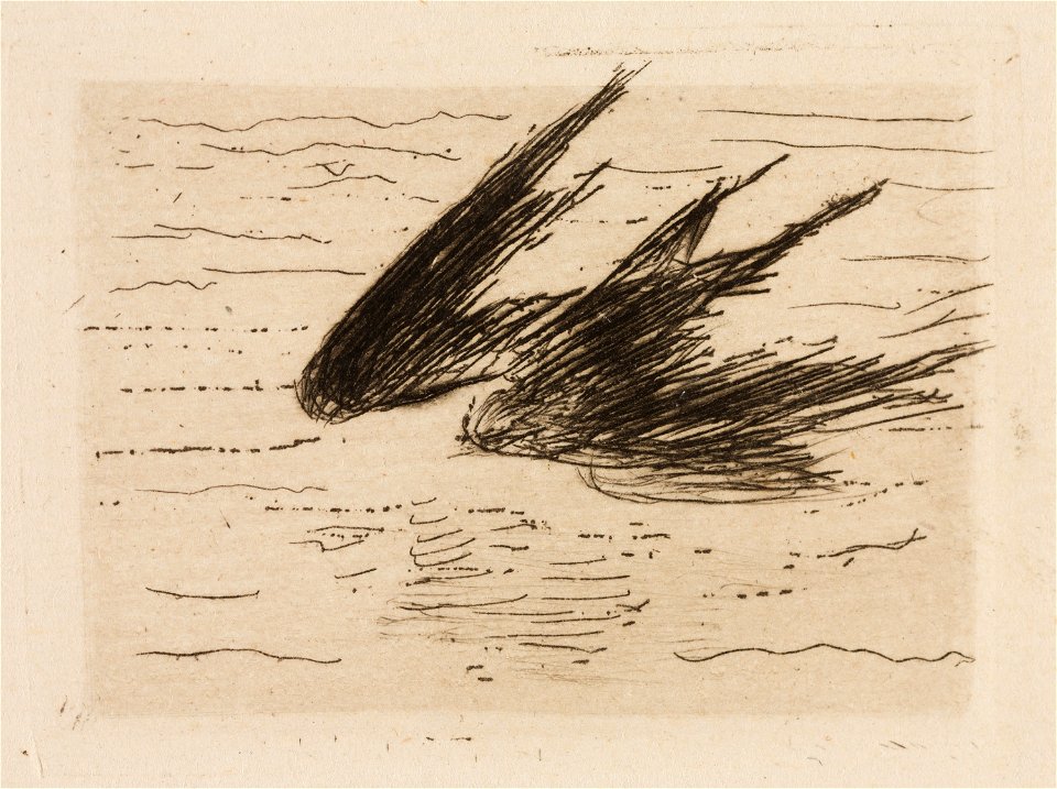 Manet - Swallows, plate 8 from Le Fleuve, 1985.59.9
