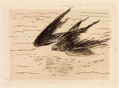 Manet - Swallows, plate 8 from Le Fleuve, 1985.59.9