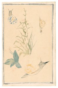 Manet - Sketches of Snails, Flowering Plant, 1864-68