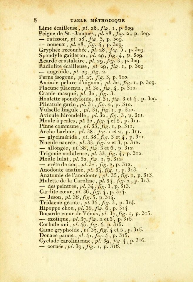 Manuel de l'histoire naturelle des mollusques Table Methodique 4